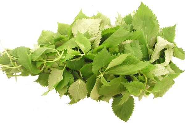 Vietnamese palm brings a mixture of lemongrass, Thai basil and mint