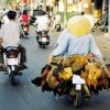 Daily Traffic in Saigon